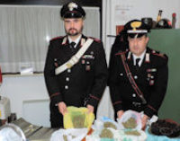 CASSOLNOVO 12/12/2014: Uomo con i seni. “Sono trans!”. Invece nascondeva droga. 2 Carabinieri restano feriti durate il fermo