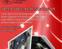 LA VITA E’ PIENA DI BUONE OCCASIONI PER AIUTARE GLI ANIMALI: ANCHE A NATALE!