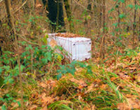 FORTUNAGO 23/12/2014: Incivili lordano la natura lungo la Sp138. La segnalazione di un lettore