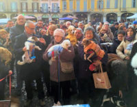 VOGHERA 19/01/2015: Sempre di più gli amanti degli animali. Quasi 1000 persone in piazza Duomo per la Benedizione