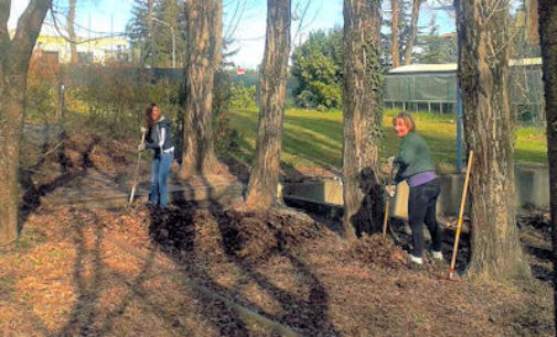 RETORBIDO SALICE 31/03/2015: Volontari al lavoro per pulire le zone verdi. In campo la protezione civile, operatori turistici e cittadini