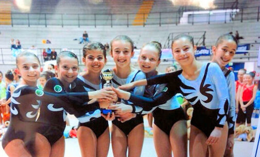 VOGHERA 16/04/2015: Ginnastica. Il Team iriense agli Italiani di Coppa Italia a Desio