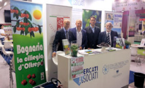 BAGNARIA 22/05/2015: Il Comune della valle Staffora presente ad Expo con le sue ciliegie