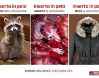 PAVIA VOGHERA VIGEVANO: Non comprare mai capi con inserti in pelliccia. Dietro solo indicibile sofferenza di innocenti