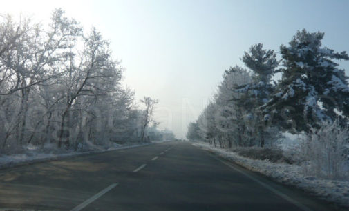 PAVIA 19/01/2016: Inverno pazzo. La siccità l’eccessivo caldo e ora il gelo. Timori per i danni alle coltivazioni