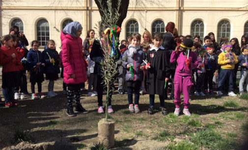 VOGHERA 24/03/2016: Scuola. Alla Dante celebrata la Settimana della Pace e dell’Amicizia tra i Popoli