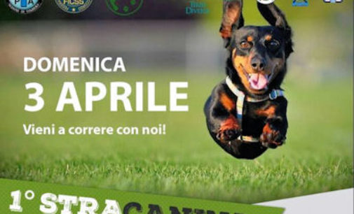 SALICE TERME 15/03/2016: Domenica nel parco la “Stracanina” corsa a 6 zampe (umani e cani corrono insieme)