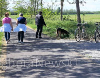 VOGHERA 25/04/2016: Allarme Lav. Presunte esche killer segnalate lungo la Greenway. Allarme anche nei pressi della Stazione iriense