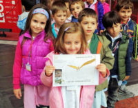 VOGHERA 09/06/2016: I bimbi della scuola dell’infanzia Torremenapace in visita ai musei milanesi