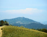 MONTE PENICE 14/07/2016: Volo di Rondine. Escursione alla scoperta della Formica Rufa