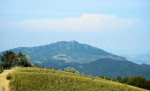 MONTE PENICE 14/07/2016: Volo di Rondine. Escursione alla scoperta della Formica Rufa