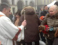 VOGHERA18/01/2017: Domenica la Benedizione degli animali. Iniziative della Croce Rossa in piazza Duomo