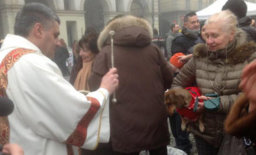 VOGHERA18/01/2017: Domenica la Benedizione degli animali. Iniziative della Croce Rossa in piazza Duomo