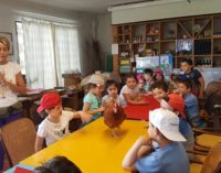 VOGHERA 29/05/2017: I bambini della Primaria De Amicis in visita alla fattoria didattica