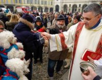 VOGHERA 15/01/2018: Ieri la Benedizione degli Animali in piazza Duomo. Intanto il Canile/Gattile Enpa “scoppia” per i troppi abbandoni. Urgono famiglie che adottino cani e gatti