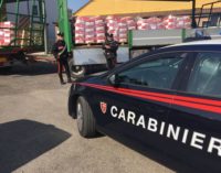 VOGHERA 20/04/2018: Maxi furto ad “Apsov Sementi”. I carabinieri recuperano 100mila euro di concime agricolo