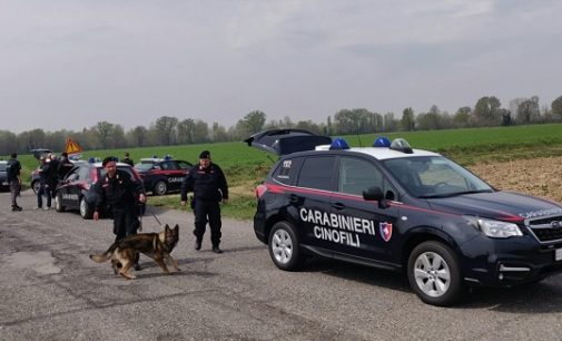 VIDIGULFO 04/04/2019: Operazione antidroga nelle campagne pavesi. Carabinieri sgominano una rete di spacciatori magrebini