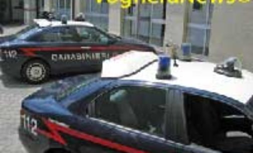 VIDIGULFO CERANOVA LANDRIANO 15/04/2019: Controlli dei carabinieri. Scattano 5 denunce