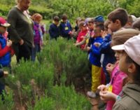 VOGHERA 21/05/2019: Alla Scuola Primaria De Amicis si coltivano i “pensieri”