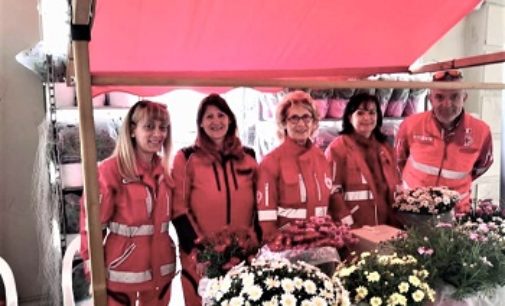 VOGHERA 12/05/2019: Festa della Mamma. Anche oggi in piazza le margherita Croce Rossa