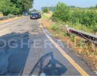 MEZZANA BIGLI 06/07/2019: Automobile trafitta dal guardrail. Morto 26enne dominicano di Balossa. Prima risiedeva a Voghera