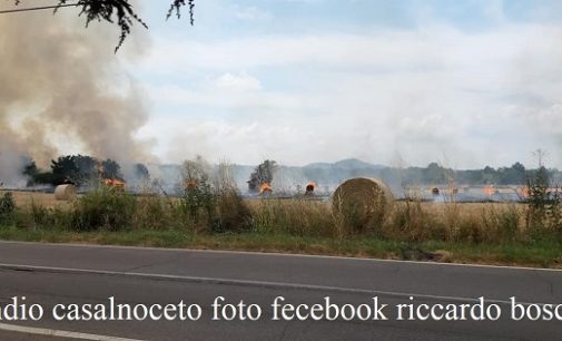 RIVANAZZANO 08/07/2019: Vasto incendio nei campi. Intaccata anche la strada Chiusa la Sp196