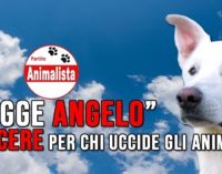 PAVIA VOGHERA 17/06/2020: Cane torturato e ucciso. Il Partito Animalista propone il carcere per chi maltratta e uccide gli animali