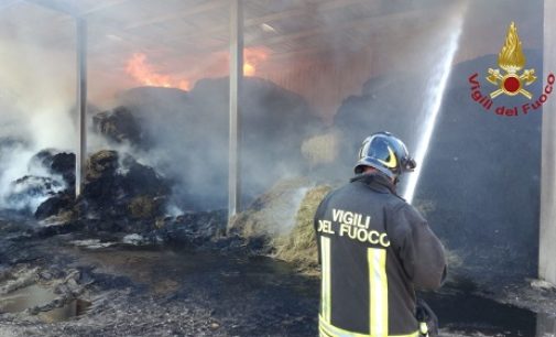 MEDE 23/06/2020: Incendio di rotoballe in via dei Frati. Molte squadre dei Vvf al lavoro