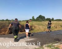 CASEI GEROLA 27/07/2020: Partite dalla strada le fiamme arrivano a lambire le case. Paura questo pomeriggio in via Nilde Iotti a Casei