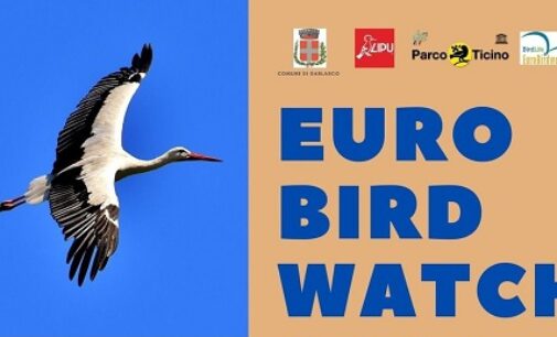 GARLASCO 30/09/2020: Euro Bird Watching. Domenica tutti a ”caccia” di uccelli migratori con gli esperti della LIPU