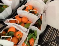 VOGHERA 08/12/2020: Ottanta chili di clementine per sostenere l’attività del centro antiviolenza Chiara. L’associazione fa il bilancio dell’attività