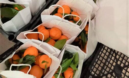 VOGHERA 08/12/2020: Ottanta chili di clementine per sostenere l’attività del centro antiviolenza Chiara. L’associazione fa il bilancio dell’attività