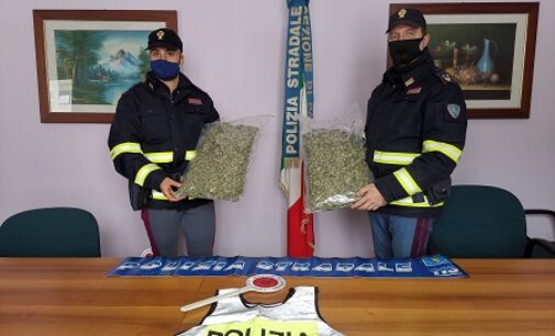 PAVIA 04/01/2021: La sua auto ‘odorava’ di marijuana. La Polizia Stradale arresta corriere della droga