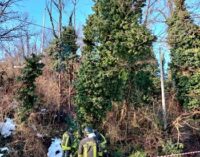 MONTECALVO 08/01/2021: Albero incombe sulla linea elettrica. Intervengono i pompieri