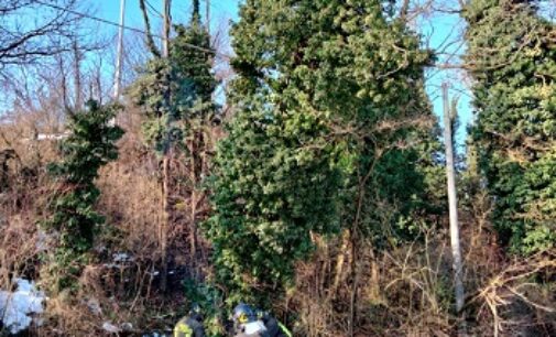 MONTECALVO 08/01/2021: Albero incombe sulla linea elettrica. Intervengono i pompieri