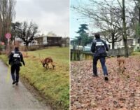 GODIASCO RIVANAZZANO 04/02/2021: Animali. Bocconi avvelenati. Avviati i controlli sul campo con le fototrappole e le unità cinofile