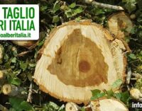 PAVIA VOGHERA OLTREPO 18/03/2021: Contro l’abbattimento indiscriminato degli alberi in provincia (e in Italia) è nato il gruppo fb STAI. “Abbiamo l’obbligo morale di mobilitarci e reagire”