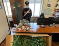 PIETRA DE’ GIORGI PORTALBERA 12/03/2021: Fermato per un controllo i carabinieri gli trovano 1 kg di marijuana