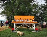 CODEVILLA 30/05/2021: Inaugurata la Big Bench comunale. A breve una Panchina Gigante anche a Casteggio