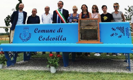 CODEVILLA 24/05/2022: “Animali in provincia”. Inaugurati in paese la panchina delle api e il giardino delle piante mellifere