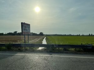 Siccità alberi canali irrigui agricoltura deserto agricolo