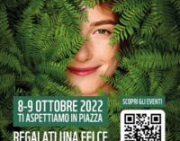 CIGOGNOLA 06/10/2022: Regala una felce. Domenica il banchetto del WWF in Piazza Castello!