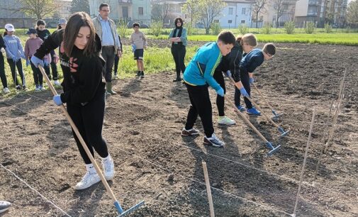 VOGHERA 04/06/2024: Al Gallini l’“Orto sinergico” degli alunni del Pertini