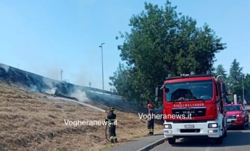 CASTEGGIO 15/07/2024: Sterpaglie in fiamme. Intervento dei Vigili del fuoco  di Voghera