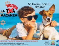 VOGHERA 15/07/2024: Cani in vacanza. Iniziativa per contrastare l’abbandono degli animali