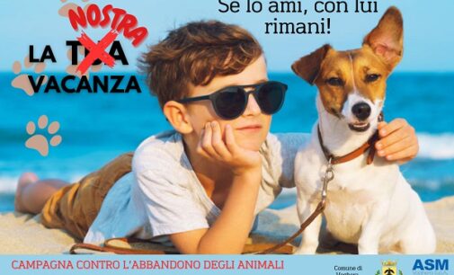 VOGHERA 15/07/2024: Cani in vacanza. Iniziativa per contrastare l’abbandono degli animali