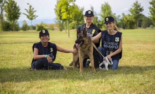 PAVIA & PROVINCIA 09/09/2024: Animali in provincia. Aperte le iscrizioni per diventare guardia zoofila Oipa