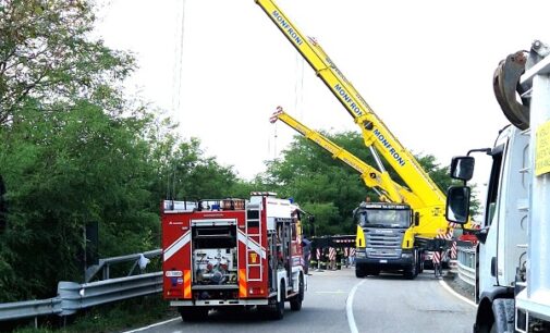 COPIANO 07/09/2024: Animali in provincia. Camion giù dal ponte. 86 i maiali morti. Solo 30 i sopravvissuti. Alcuni sono fuggiti