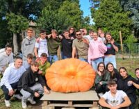 VOGHERA 19/09/2024: 364 kg per 3, 67 metri di circonferenza. Il Gallini vince la gara per la Zucca più grande. Sabato sarà messa in mostra