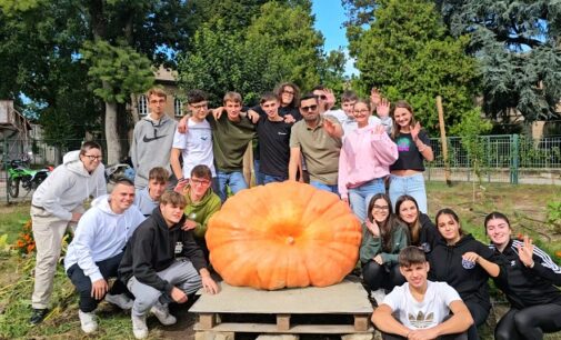 VOGHERA 19/09/2024: 364 kg per 3, 67 metri di circonferenza. Il Gallini vince la gara per la Zucca più grande. Sabato sarà messa in mostra